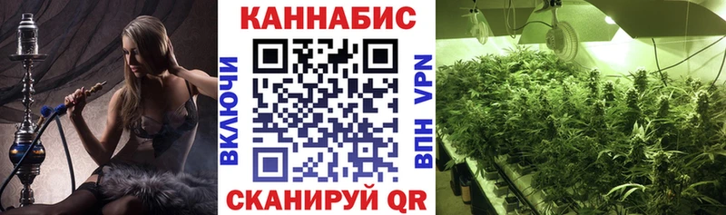 Бошки марихуана THC 21% Чернушка